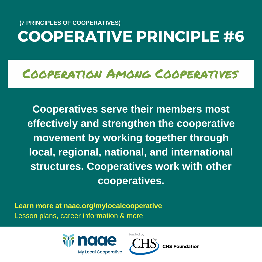 Cooperative Principle 6