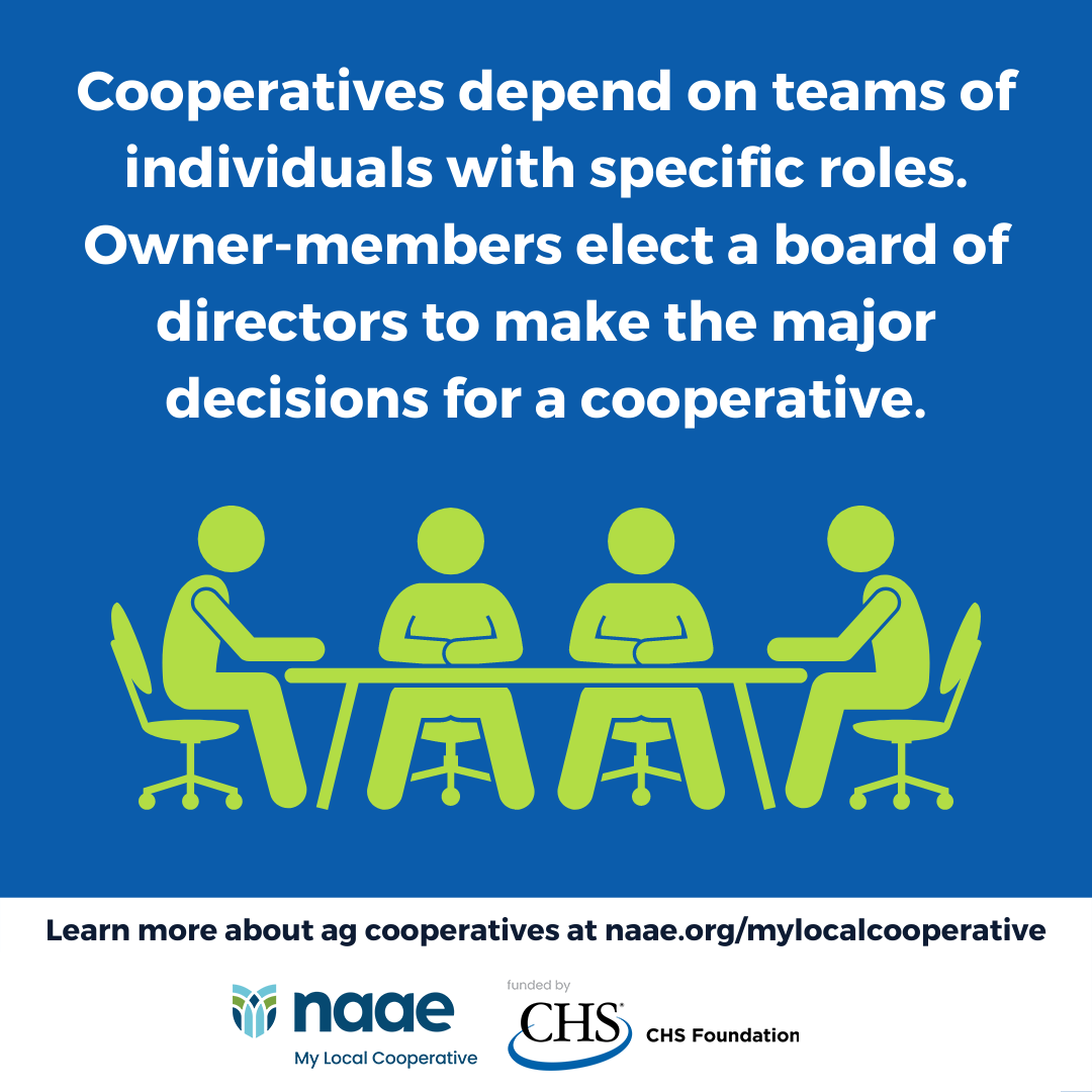 Cooperative Principle 3Board of Directors